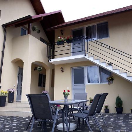 Casa Luisa Lägenhet Călimăneşti Exteriör bild