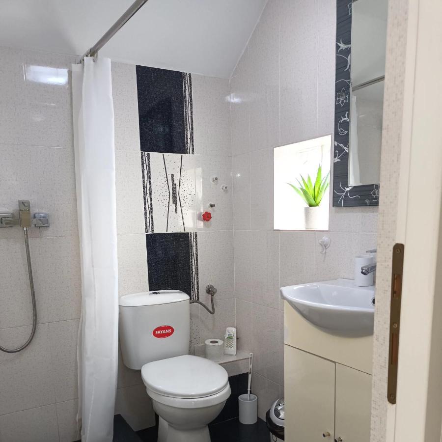 Casa Luisa Lägenhet Călimăneşti Exteriör bild