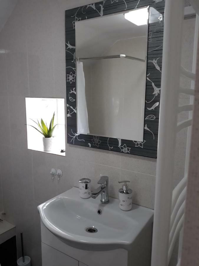 Casa Luisa Lägenhet Călimăneşti Exteriör bild